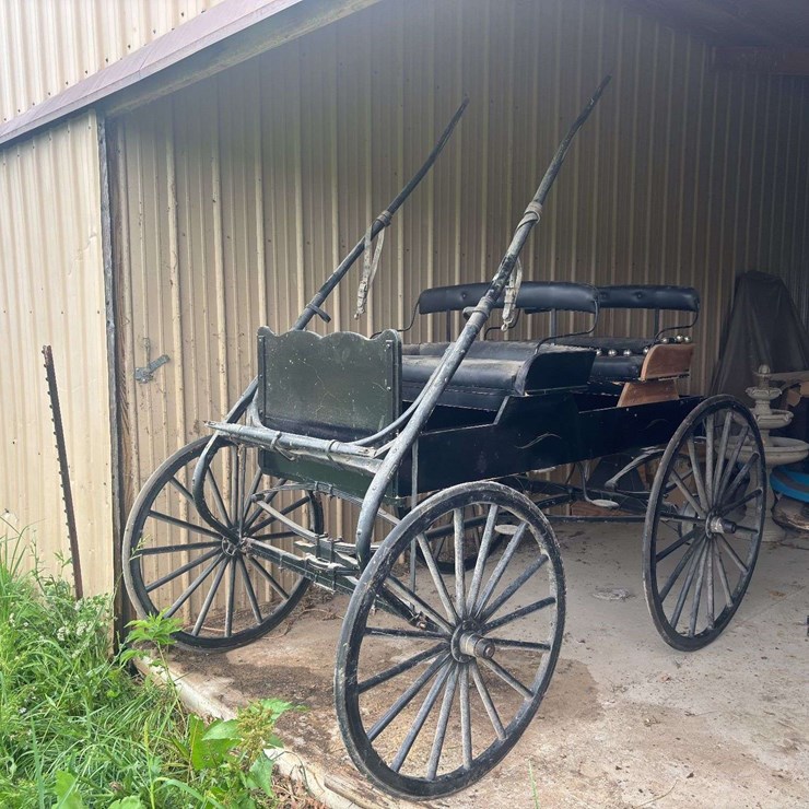 David Williams 2 Seater Buggy