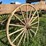 horse-drawn-buggy-image-15