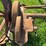 oliver-horse-drawn-sickle-mower-image-18