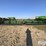 2013-john-deere-640fd-image-2