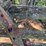 oliver-dual-skeleton-wheels-image-4