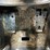 2021-bobcat-s64-image-24