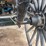 david-williams-2-seater-buggy-image-13