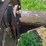 massey-ferguson-4-image-40