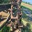 oliver-dual-skeleton-wheels-image-6