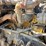 2000-kenworth-w900-image-27