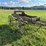 horse-drawn-buggy-image-4