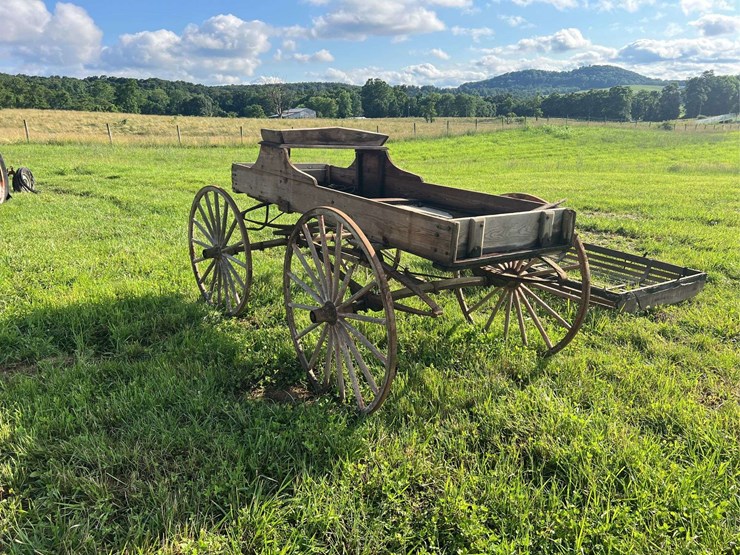 horse-drawn-buggy-image-4