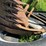 oliver-horse-drawn-sickle-mower-image-9
