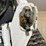 bobcat-t770-image-11