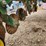 john-deere-7200-image-8