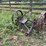 massey-harris-no.-33-sickle-mower-image-6