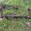 (2)-oliver-widefront-ends-image-2
