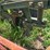 oliver-horse-drawn-cultivator-image-30