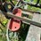 oliver-horse-drawn-cultivator-image-19