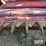 case-ih-1020-image-9