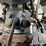 massey-ferguson-231-image-25