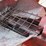 case-ih-1350-image-6