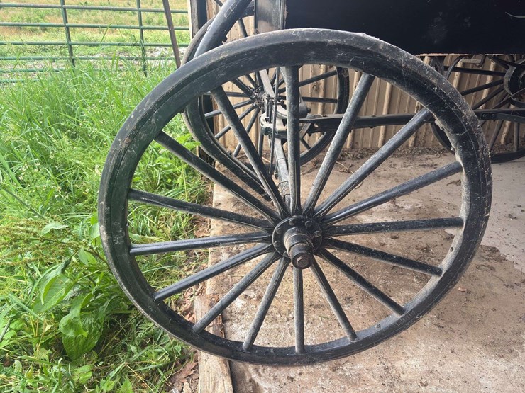 david-williams-2-seater-buggy-image-14