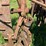 oliver-horse-drawn-sickle-mower-image-8