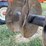 john-deere-630-image-20