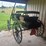 david-williams-2-seater-buggy-image-3