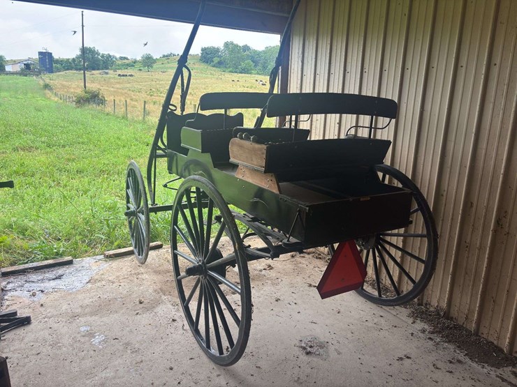 david-williams-2-seater-buggy-image-3