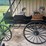 david-williams-2-seater-buggy-image-2