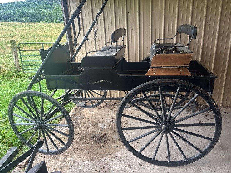 david-williams-2-seater-buggy-image-2
