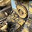 caterpillar-d2-image-44