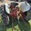 ford-9n-image-7