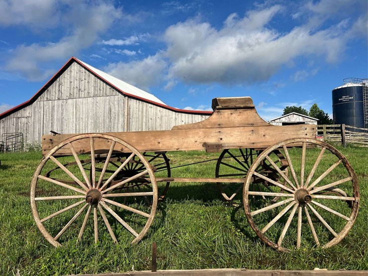 horse-drawn-buggy-image-2