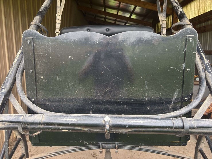 david-williams-2-seater-buggy-image-49