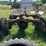 massey-ferguson-4-image-8