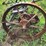 massey-harris-no.-33-sickle-mower-image-17