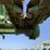 2018-john-deere-616c-image-10
