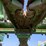 2018-john-deere-616c-image-12