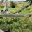 oliver-3-bottom-plow-image-9