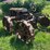 massey-ferguson-4-image-3