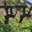 oliver-horse-drawn-cultivator-image-35