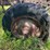 2-bottom-plow-image-30
