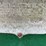 oliver-88-image-83