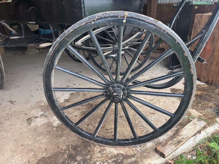 david-williams-2-seater-buggy-image-17