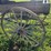 horse-drawn-buggy-image-16