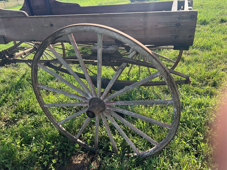 horse-drawn-buggy-image-16