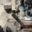 massey-ferguson-231-image-26
