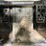 2022-bobcat-s590-image-29