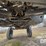 2018-raven-viper-image-20