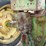 john-deere-g-image-21