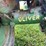 oliver-60-image-119
